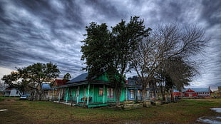 green tree and green house, nature, HDR, trees, house