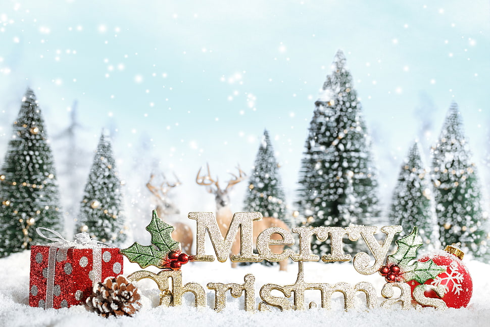 Merry Christmas during winter HD wallpaper