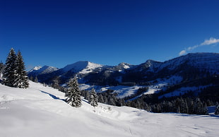 snow covered terrain under blue sky