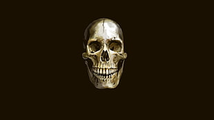 silver human skull decor, digital art, minimalism, skull, teeth