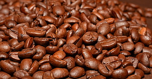 pile of coffee beans HD wallpaper