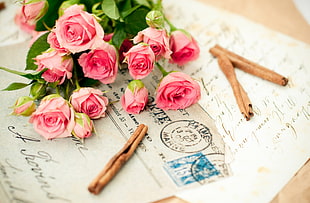 pink and red roses on top of white notes