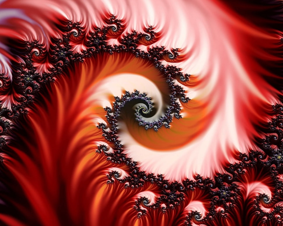 red and gray floral digital wall paper HD wallpaper