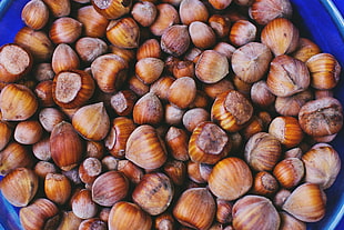 pistachio nuts on blue bucket HD wallpaper