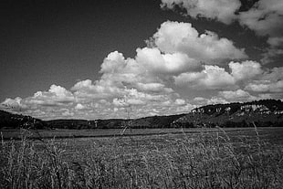 greyscale photo of clouds and grass field