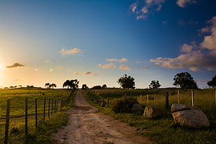 dirt road, sunset, blue, nature HD wallpaper