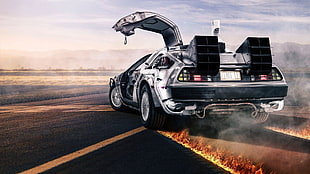 gray and black sport coupe wallpaper, car, Back to the Future, DeLorean
