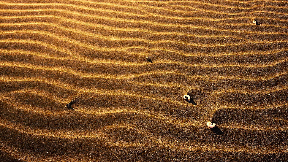 brown sand HD wallpaper