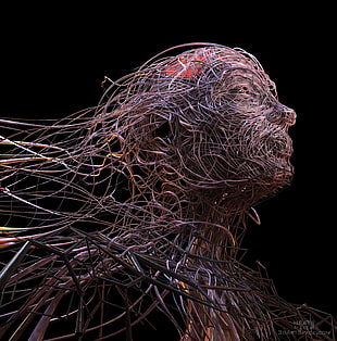 abstract wallpaper, digital art, face, wire, abstract
