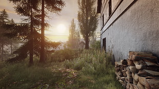 pile of logs, The Astronauts, The Vanishing of Ethan Carter