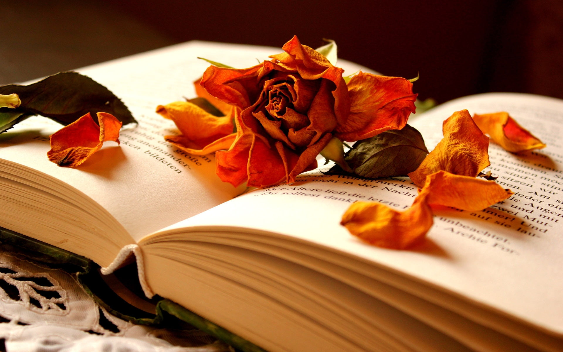dried flower on open book