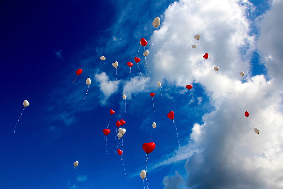 red and white balloons at sky HD wallpaper