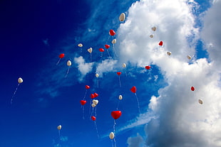red and white balloons at sky