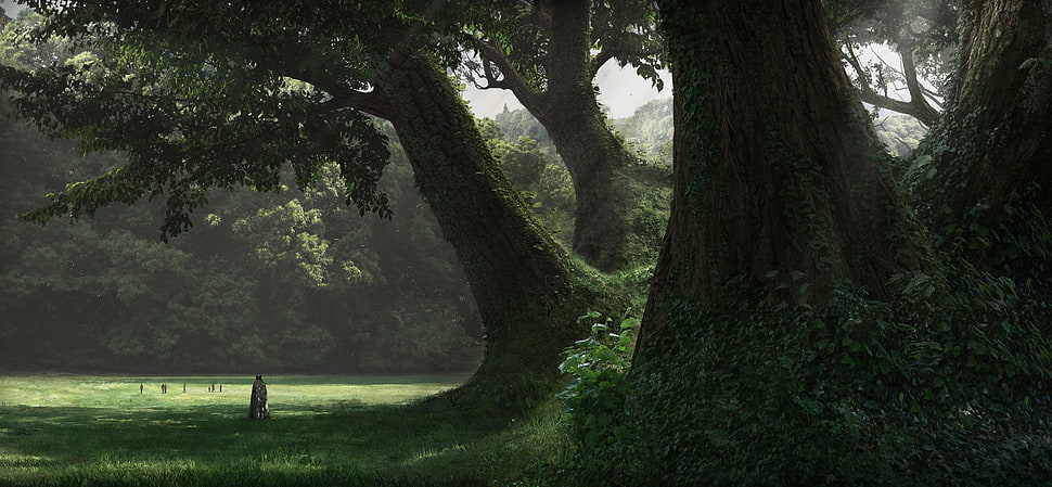 person sitting on grass field under trees wallpaper, artwork, trees, shadow HD wallpaper