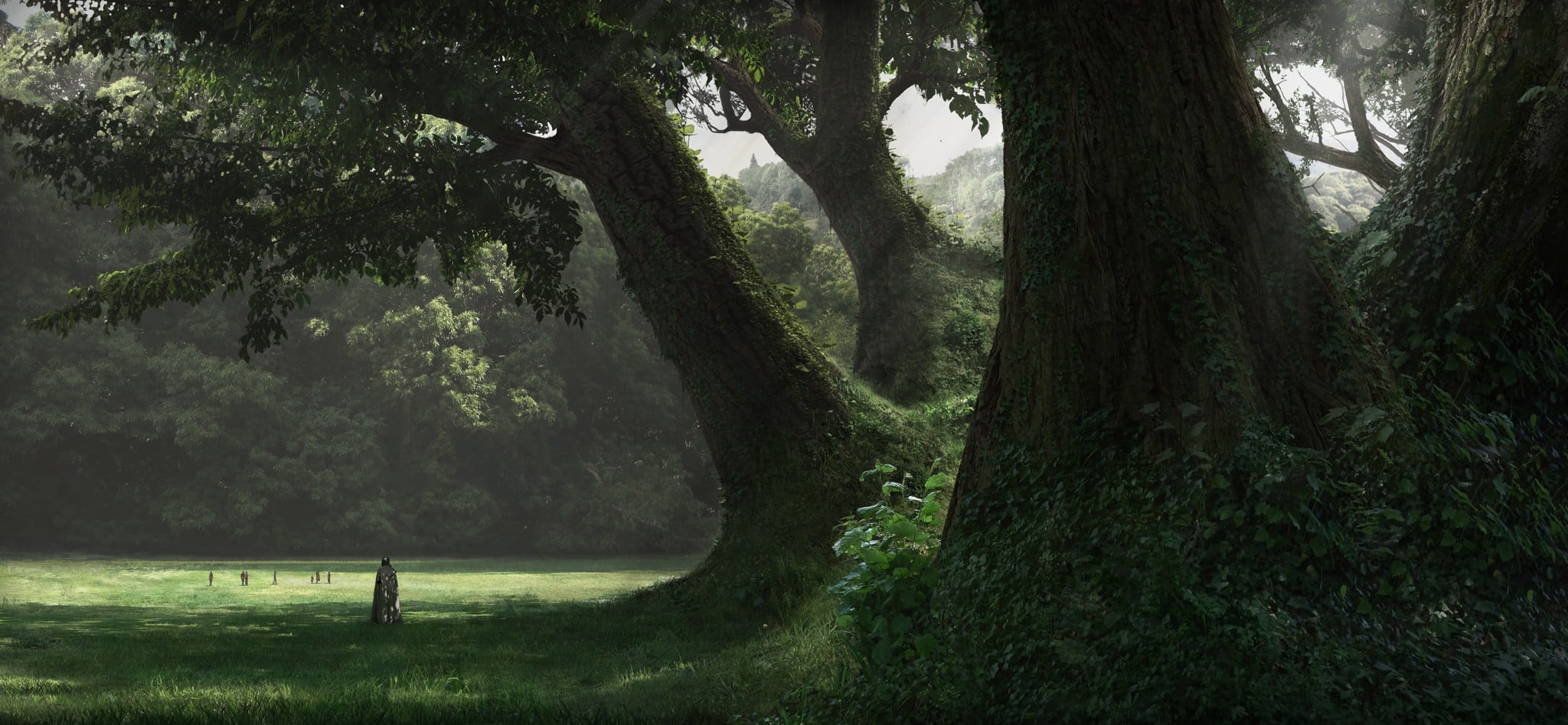 Online crop | person sitting on grass field under trees wallpaper