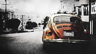 brown Volkswagen Beetle, car, Volkswagen, California, Volkswagen Beetle HD wallpaper