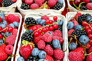 raspberry, black berry and blue berry fruit salad HD wallpaper