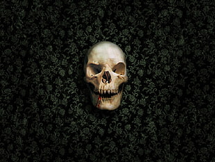 human skull on black floral sheet