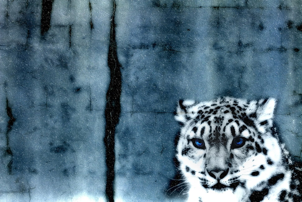 tiger illustration, leopard, snow, animals HD wallpaper