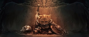 brown cat photo, cat, The Elder Scrolls V: Skyrim HD wallpaper