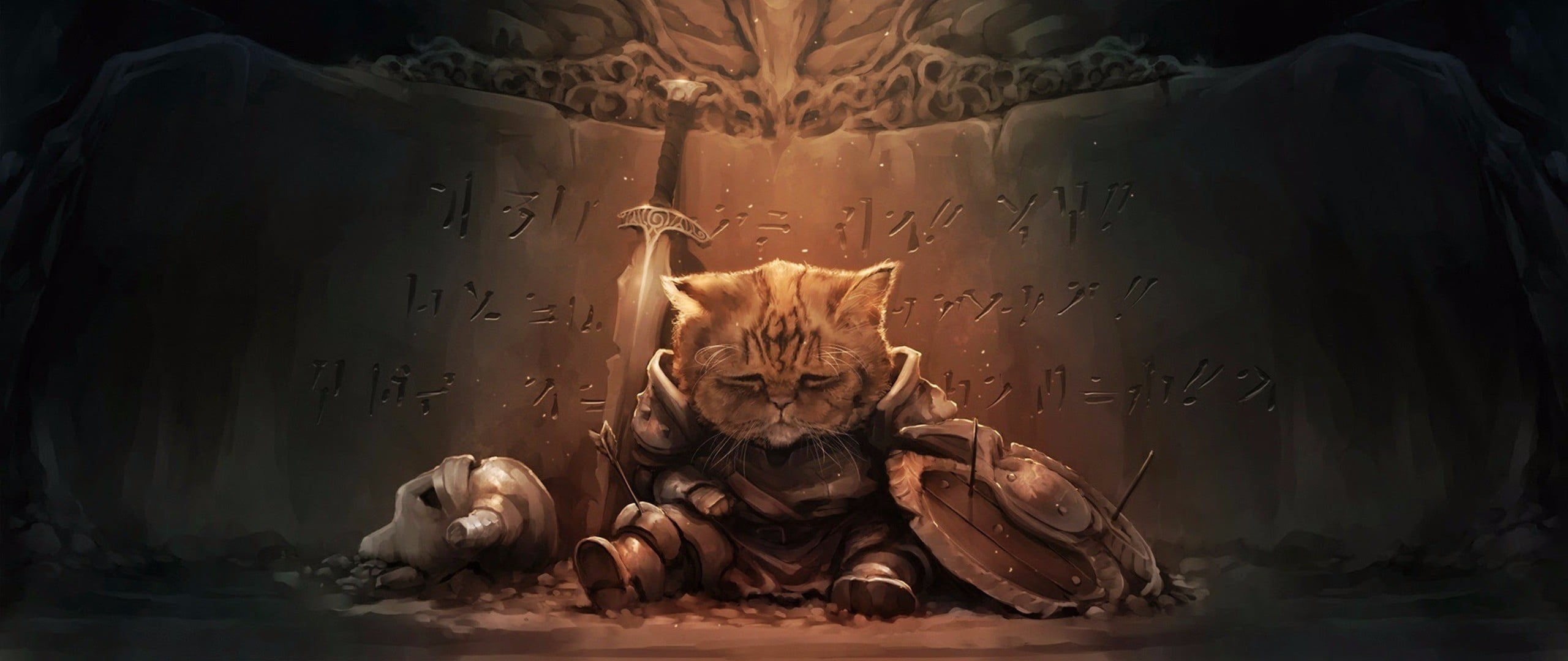 Brown Cat Photo Cat The Elder Scrolls V Skyrim Hd Wallpaper Wallpaper Flare