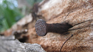 shallow focus photography of nail on brown wooden plank