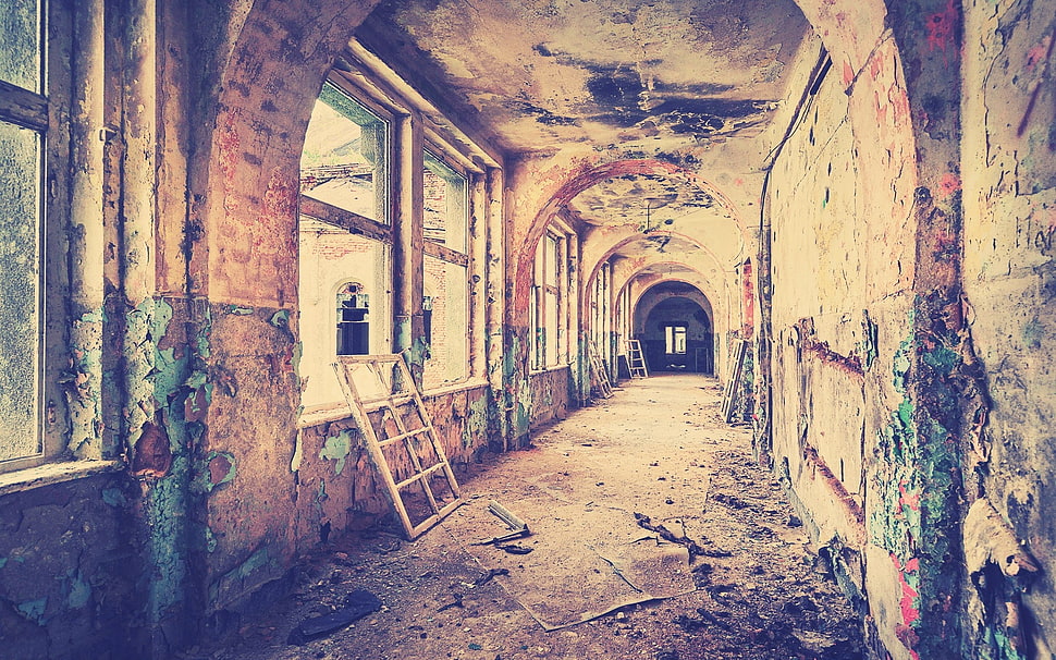 one angle perspective photography of hallway HD wallpaper