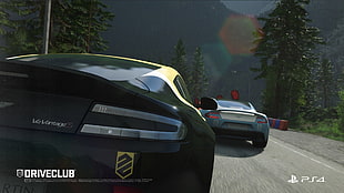 PS4 Driveclub screenshot, Driveclub, video games