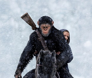 War on The Planet of the Apes