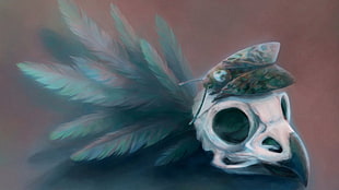 plague doctor mask, digital art, simple background, skull, birds