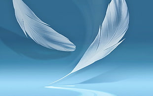 two white feathers, blue
