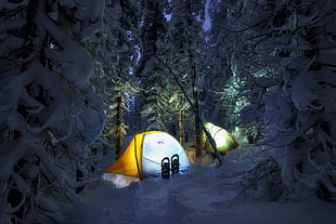 white-and-yellow tens, snow, tent