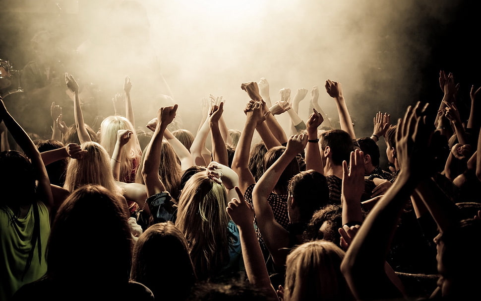 men's brown and white shirt, crowds HD wallpaper