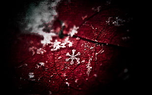 red leaf with snowflakes, digital art, leaves, snow