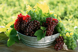 purple and green Grapes fruit in basin HD wallpaper