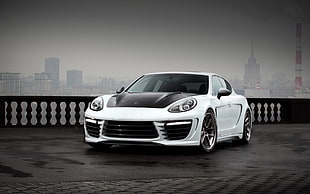 white and black Porsche Panamera, TopCar, Porsche, Porsche Panamera Stingray GTR, Porsche Panamera