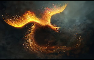 Phoenix wallpaper, phoenix, fire, digital art, birds