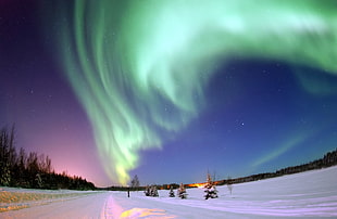 snow covered road under aurora borealis, alaska HD wallpaper
