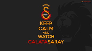 Keep Calm and Watch GalataSaray text overlay, Galatasaray S.K., Keep Calm and..., stars, soccer clubs HD wallpaper