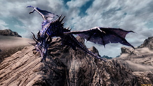 blue dragon on mountain peak digital wallpaper, fantasy art, dragon, The Elder Scrolls V: Skyrim, video games