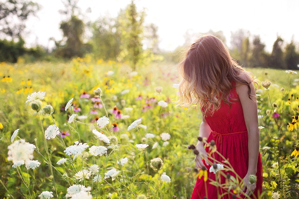 macro shot photography of girl in flower field during daytime HD wallpaper