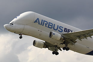 white Airbus airplane HD wallpaper