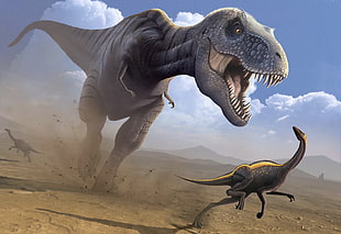 T-rex chases raptor HD wallpaper