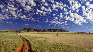 dirt road in middle of grass field under blue sky
