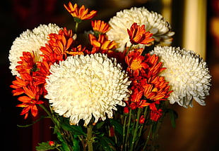 white and orange Mums flowers