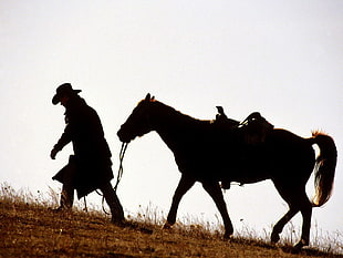 brown horse, horse, cowboys, animals