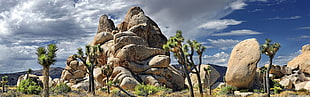 brown rocks, nature, landscape, rock, Joshua Tree National Park HD wallpaper