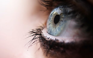 person's eye, eyes, macro, blue eyes, eyelashes HD wallpaper