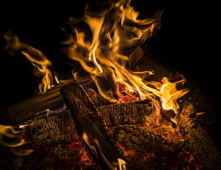 gray log, Fire, Firewood, Coals
