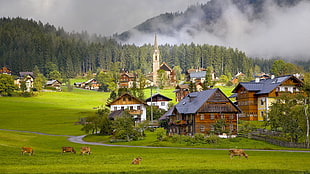 village landscape with smoke